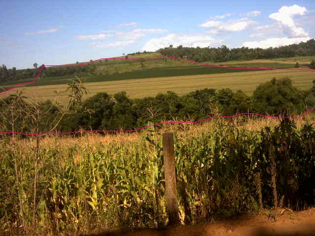 VENDO SITIO 16 ALQ. EM MCHAL CANDIDO RONDON - PR